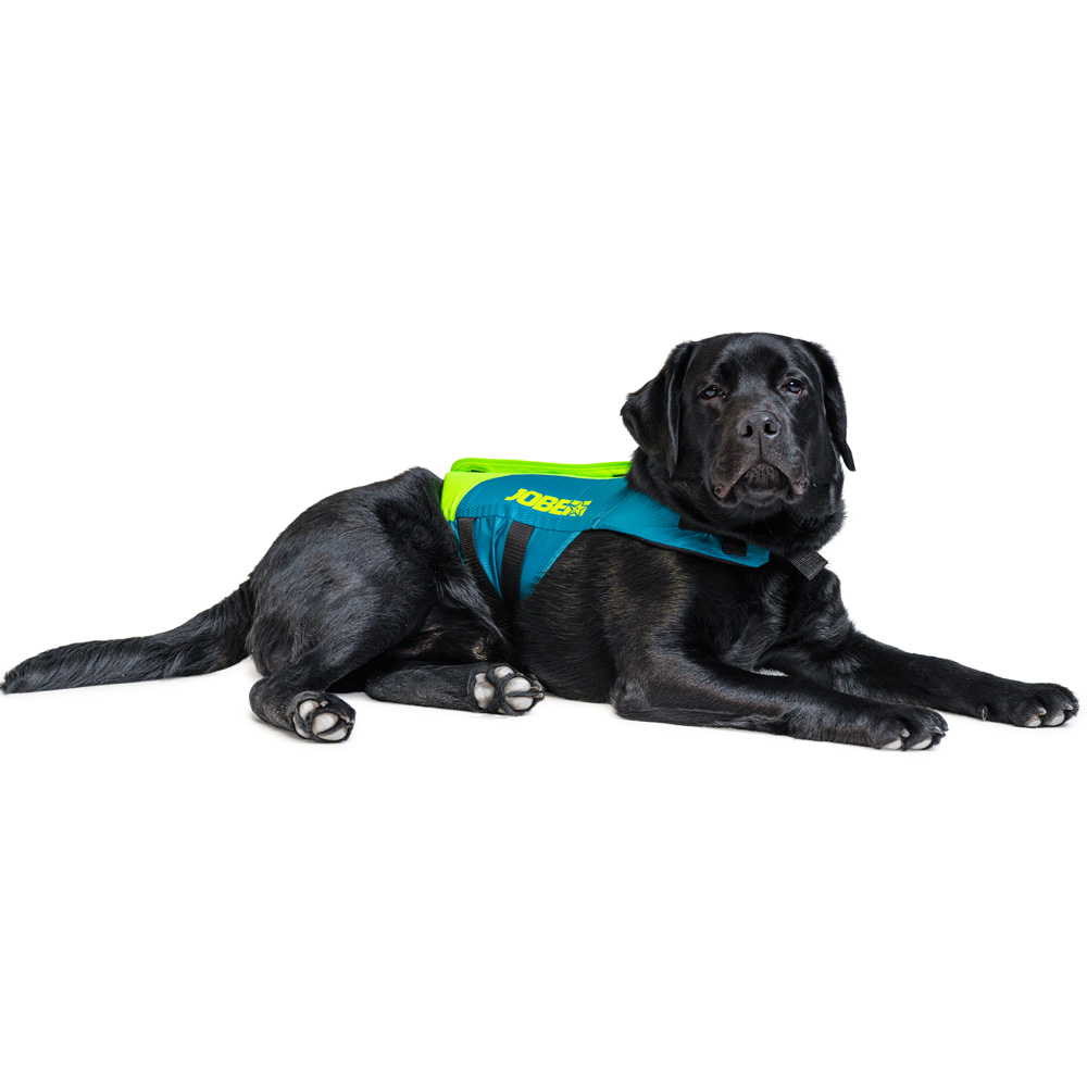 Jobe gilet de sauvetage 50N chien Lime teal 4
