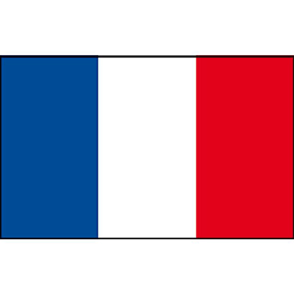 Talamex drapeau français 40x60 foto 1