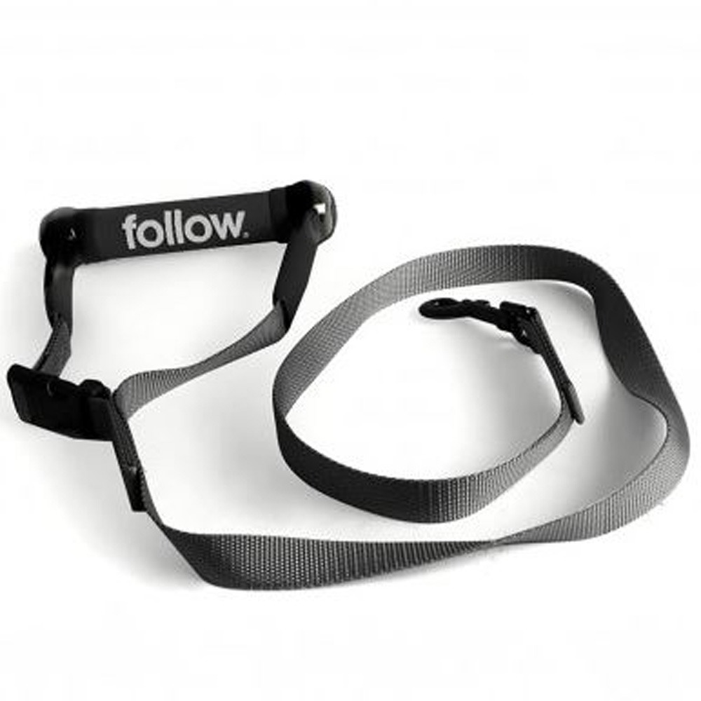 laisse pour chien noire