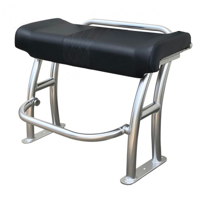 Fishmaster Pro T-Top chaise polie avec coussin noir incl. rail 2