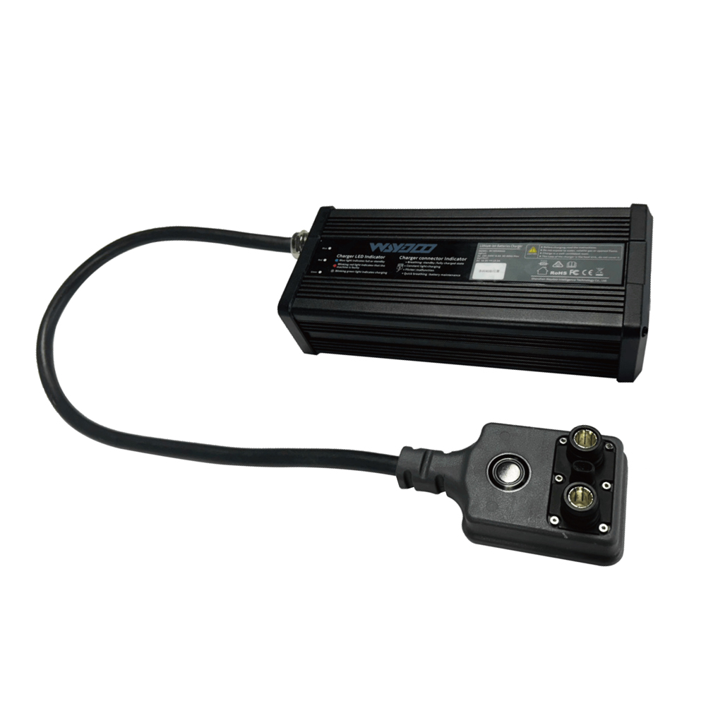 chargeur standard Powerflight