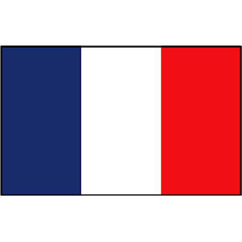 Talamex drapeau français 20x30