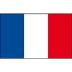 drapeau français 20x30
